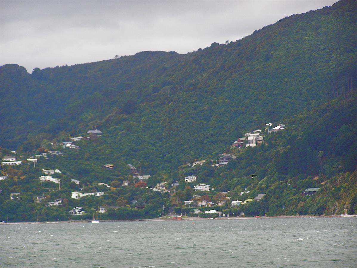 Bush House Bed and Breakfast Lower Hutt Esterno foto